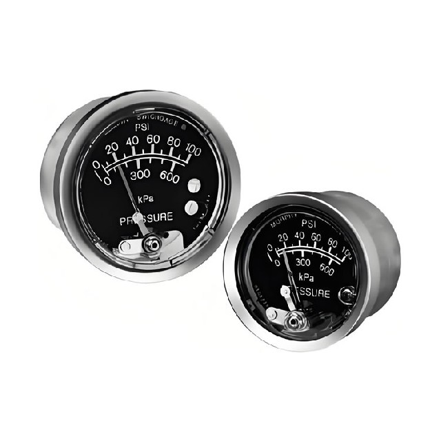 美國murphy 壓力表 A25